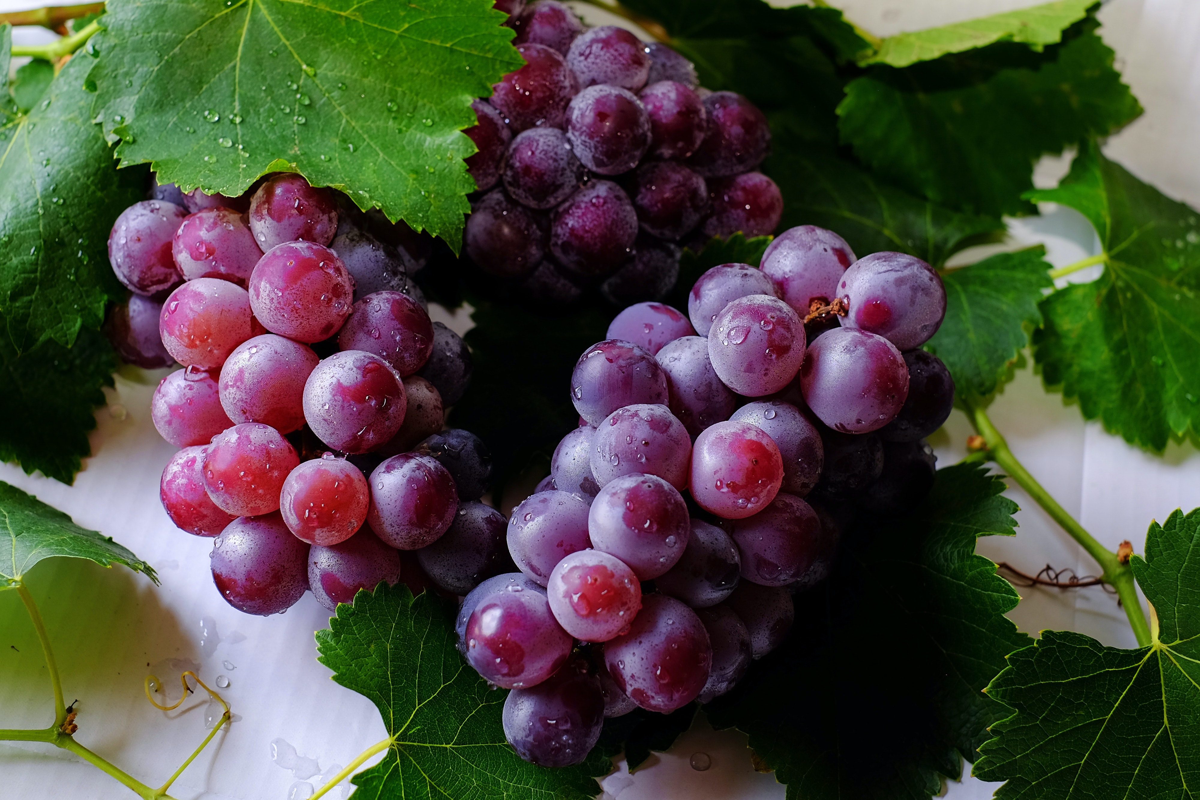 Grapes Are Our Favorite, Easy To Pack And Easy To Eat
