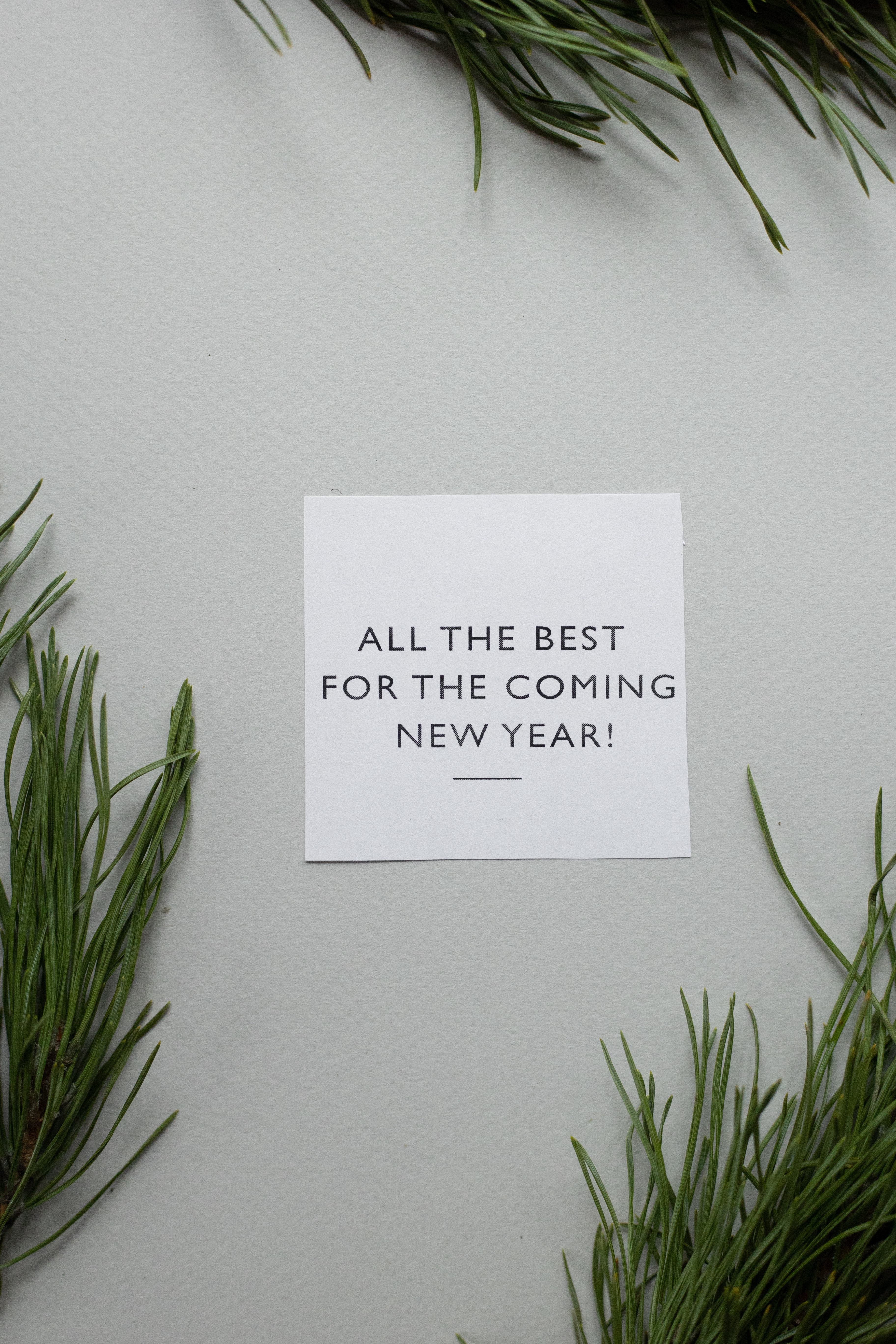 Our Best Wishes To You For The New Year