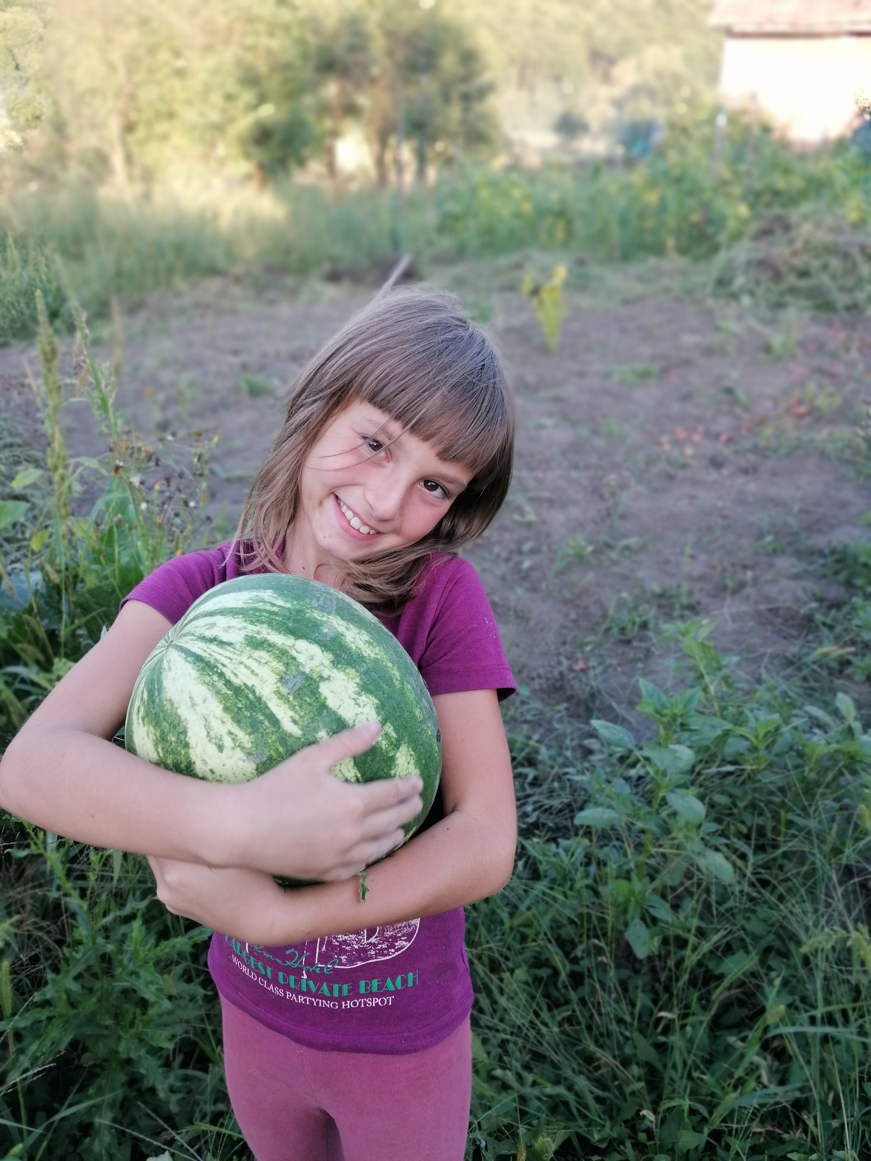 Taking Home Our Fresh Picked Watermelon