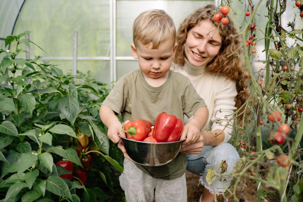 Picking Peppers For Our Jack-O-Lantern Peppers