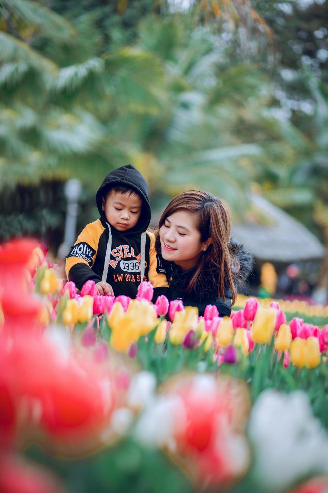My Son Wants To Buy Me The Whole Tulip Garden For Mother's Day
